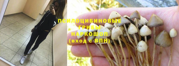 PSILOCYBIN Зеленокумск